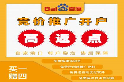 案例研究：关键词推广费用与ROI的关系